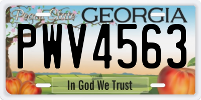 GA license plate PWV4563