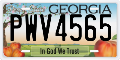 GA license plate PWV4565