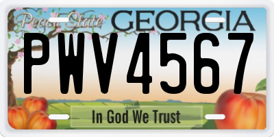 GA license plate PWV4567