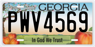 GA license plate PWV4569