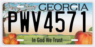 GA license plate PWV4571