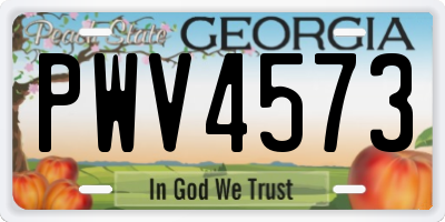 GA license plate PWV4573
