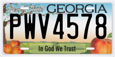 GA license plate PWV4578