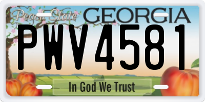 GA license plate PWV4581