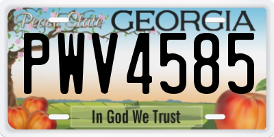 GA license plate PWV4585