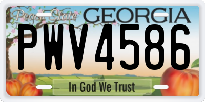 GA license plate PWV4586