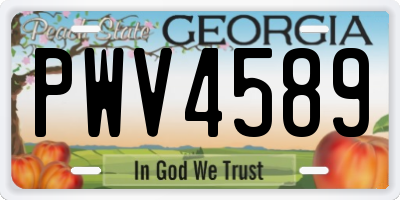 GA license plate PWV4589