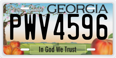 GA license plate PWV4596
