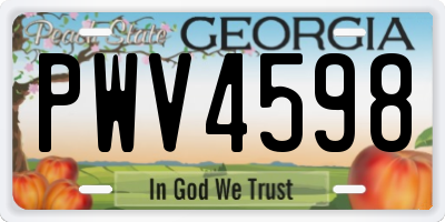 GA license plate PWV4598