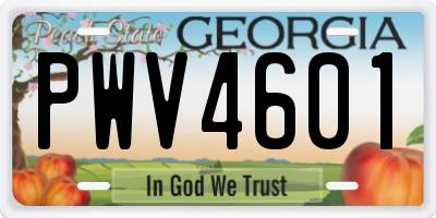 GA license plate PWV4601