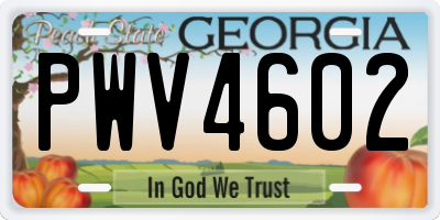 GA license plate PWV4602