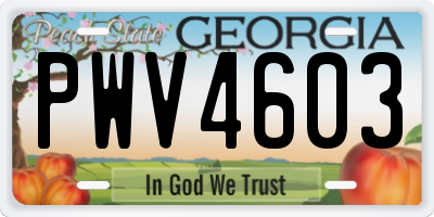 GA license plate PWV4603