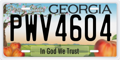 GA license plate PWV4604