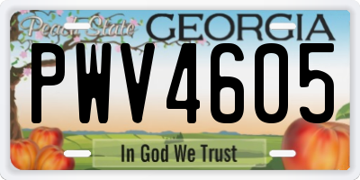 GA license plate PWV4605
