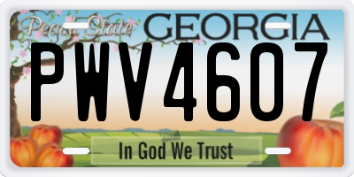 GA license plate PWV4607