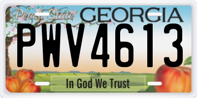 GA license plate PWV4613