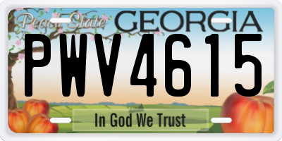 GA license plate PWV4615