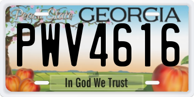 GA license plate PWV4616