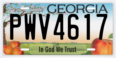 GA license plate PWV4617