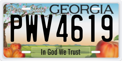GA license plate PWV4619