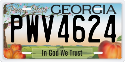 GA license plate PWV4624