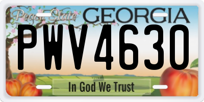 GA license plate PWV4630