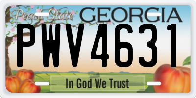GA license plate PWV4631