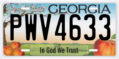 GA license plate PWV4633