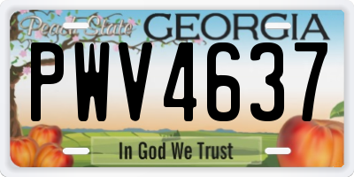 GA license plate PWV4637