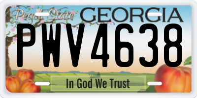 GA license plate PWV4638