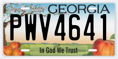 GA license plate PWV4641