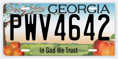 GA license plate PWV4642