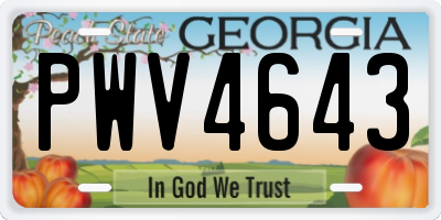 GA license plate PWV4643