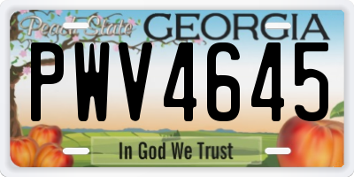 GA license plate PWV4645