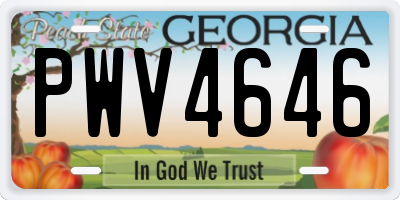 GA license plate PWV4646