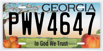 GA license plate PWV4647