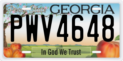 GA license plate PWV4648
