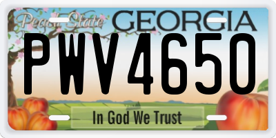 GA license plate PWV4650