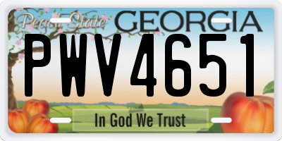 GA license plate PWV4651