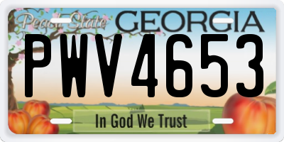 GA license plate PWV4653