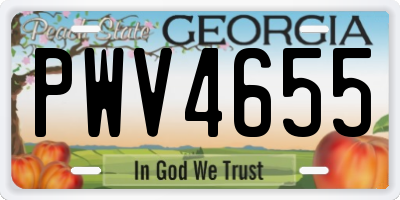 GA license plate PWV4655