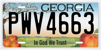 GA license plate PWV4663
