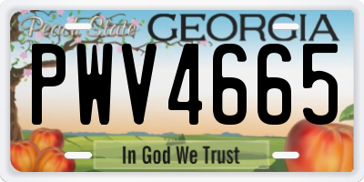 GA license plate PWV4665