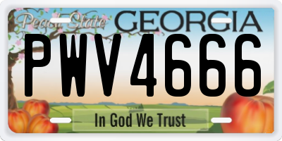 GA license plate PWV4666