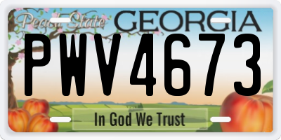 GA license plate PWV4673