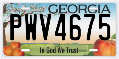 GA license plate PWV4675
