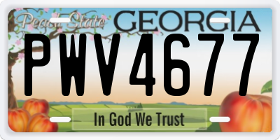 GA license plate PWV4677