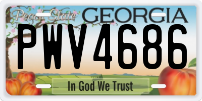 GA license plate PWV4686