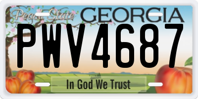 GA license plate PWV4687