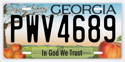 GA license plate PWV4689